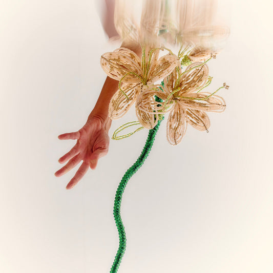 Stargazer Lily Multi