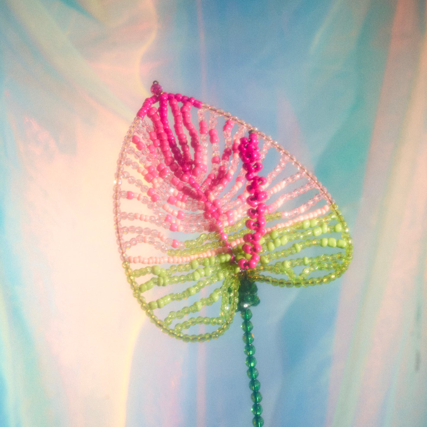Anthurium Single
