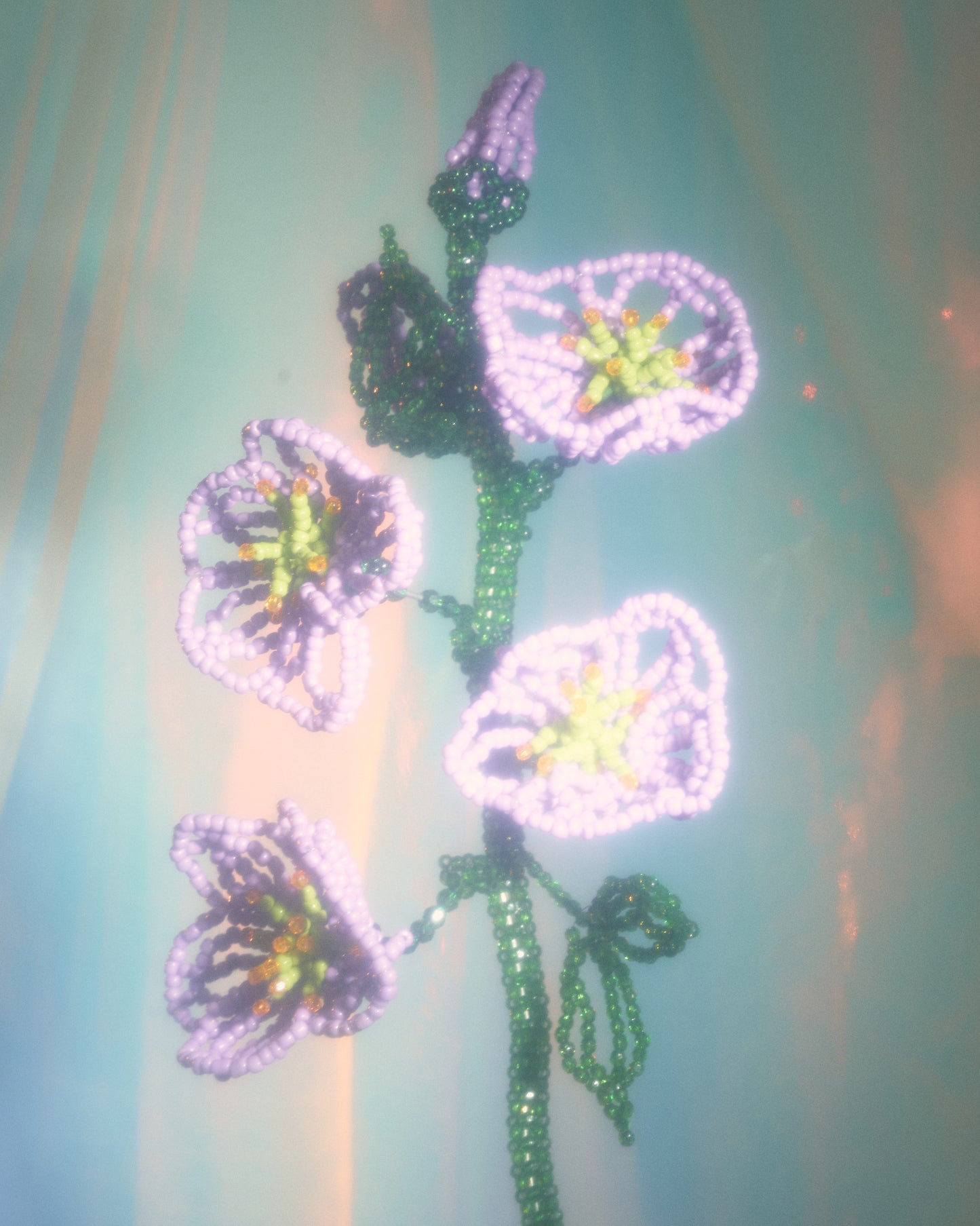 Cosmos & Friends Bouquet
