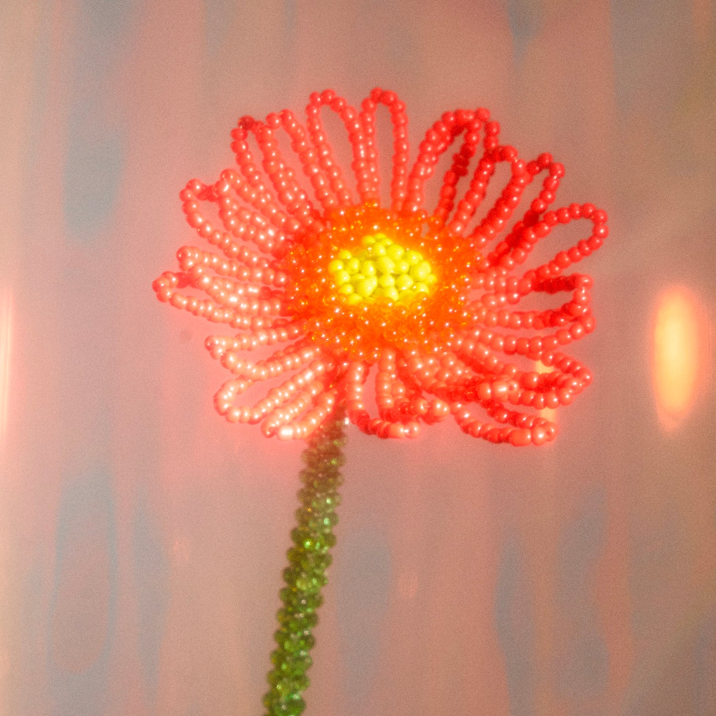 Gerbera Single