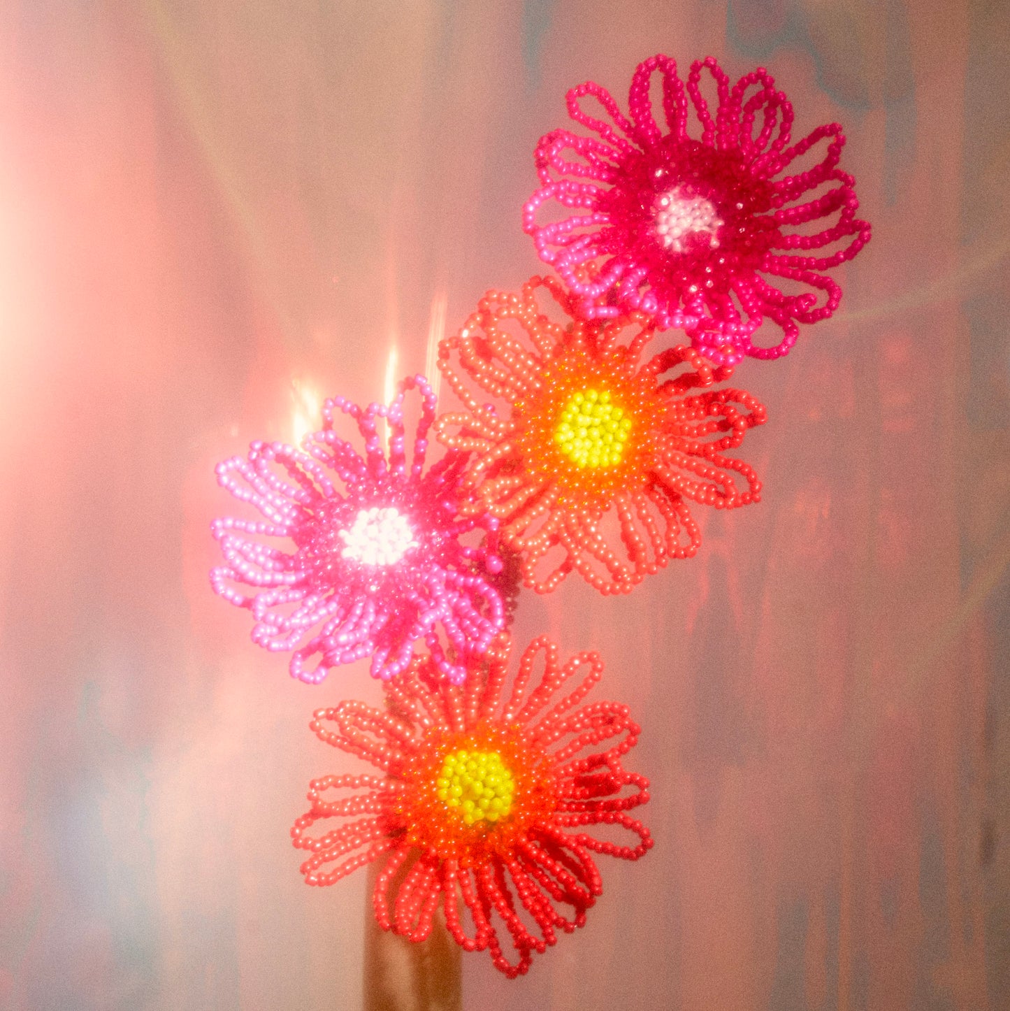 Gerbera Single
