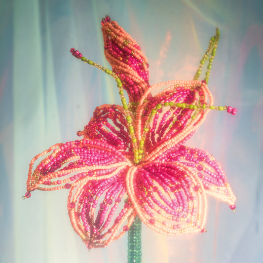 Stargazer Lily Single