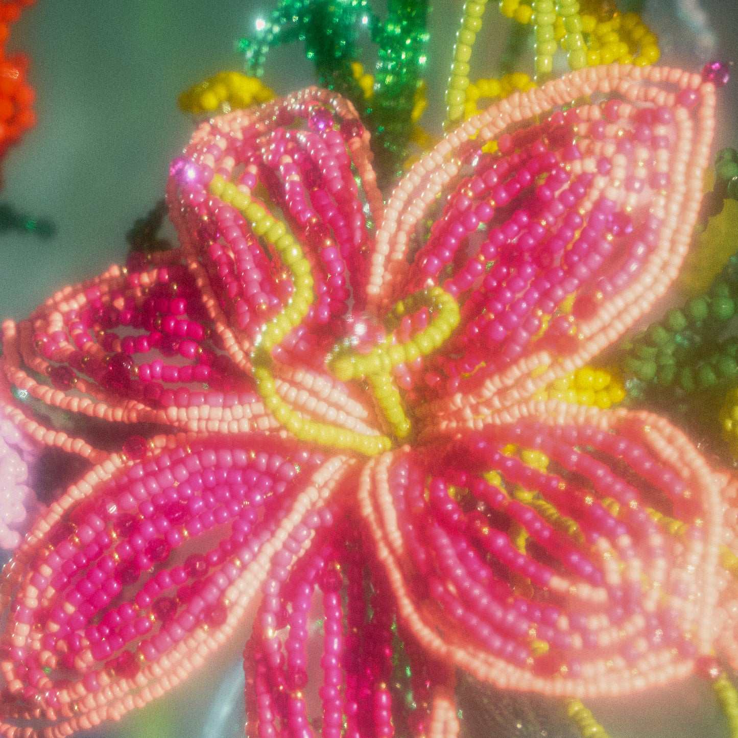Stargazer Lily Single