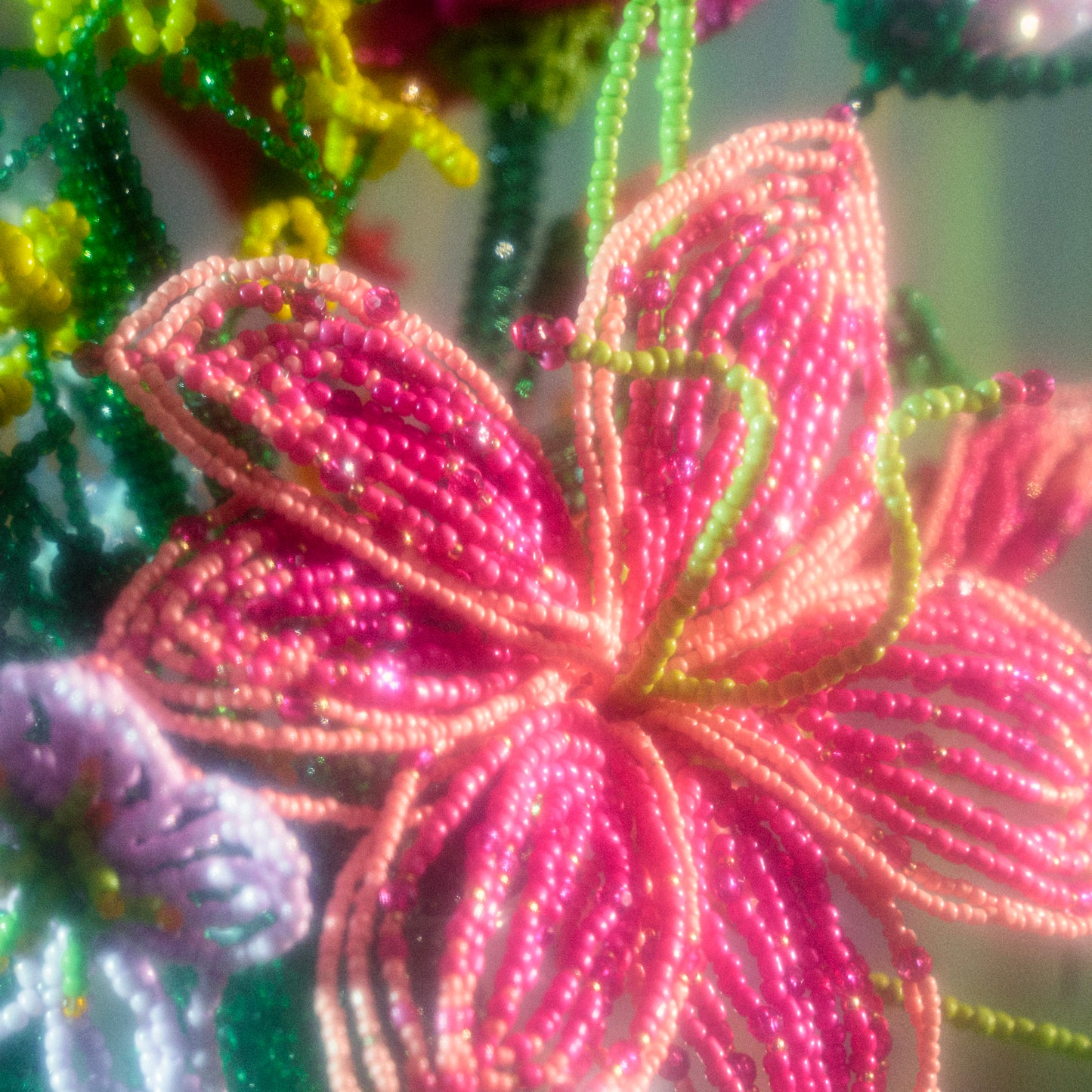 Stargazer Lily Single
