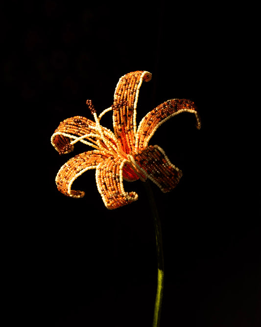 Tiger Lily Single