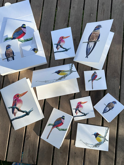 "Birds of the Philippines" Greeting Cards Set