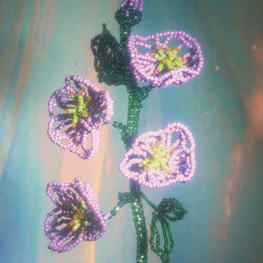 Cosmos Multi