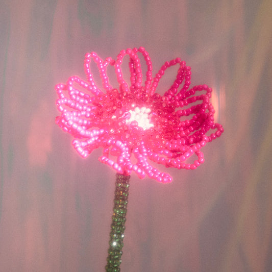 Gerbera Single