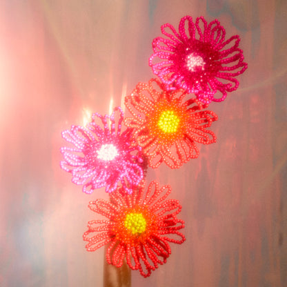 Gerbera Single