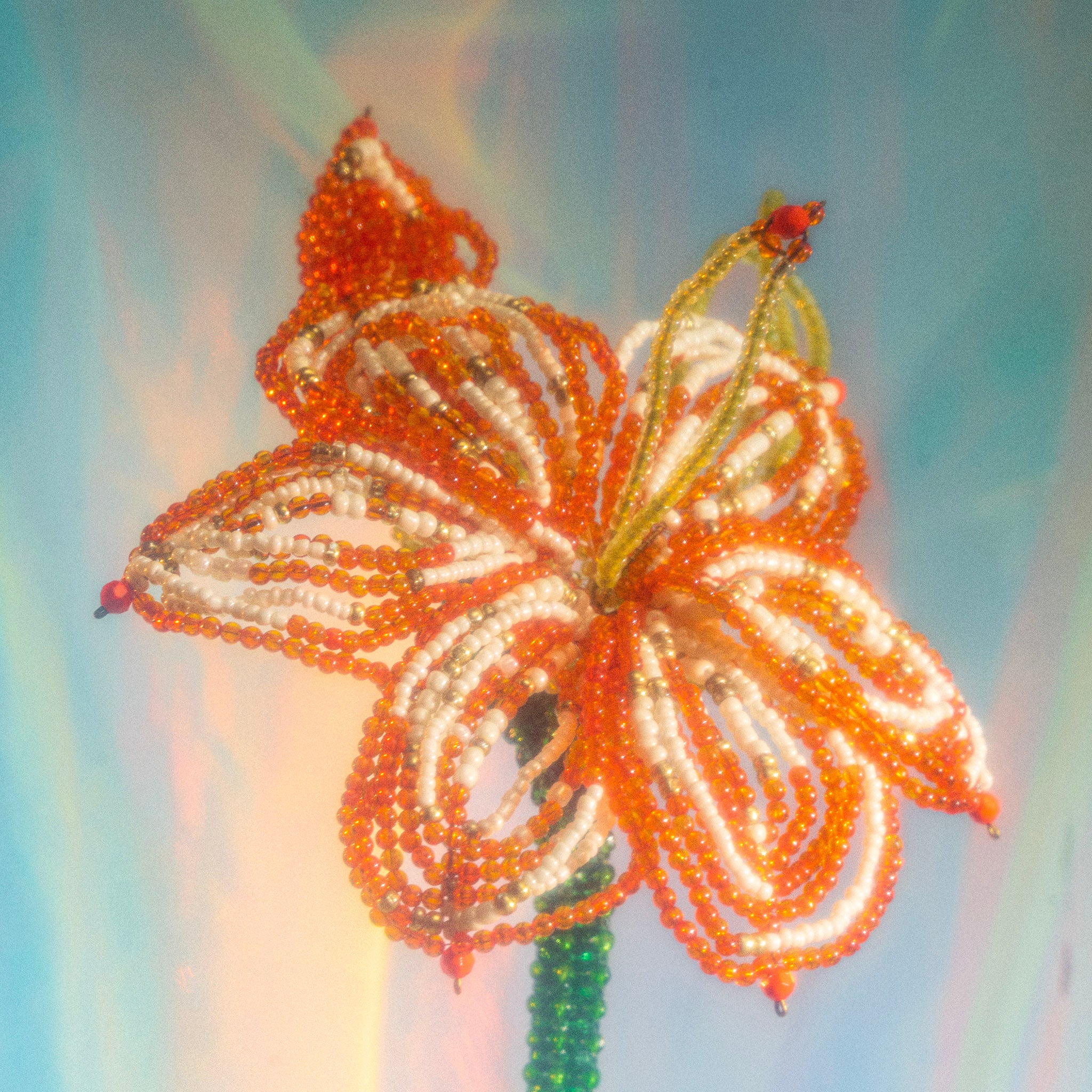 Lily Stargazer Lily-Floral | Hand Cut Card – Wendy Hazen Designs
